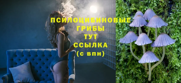 дурь Аркадак