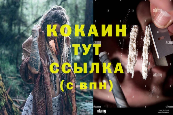 кокс Алексеевка