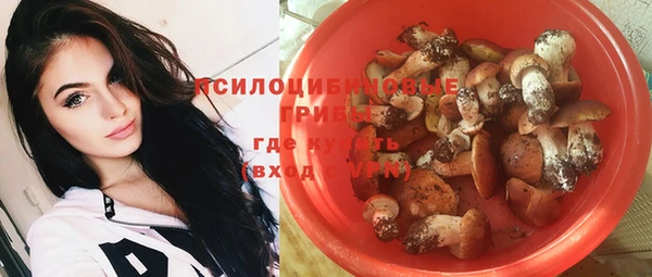 твердый Алексин