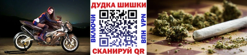Марихуана сатива Нарткала